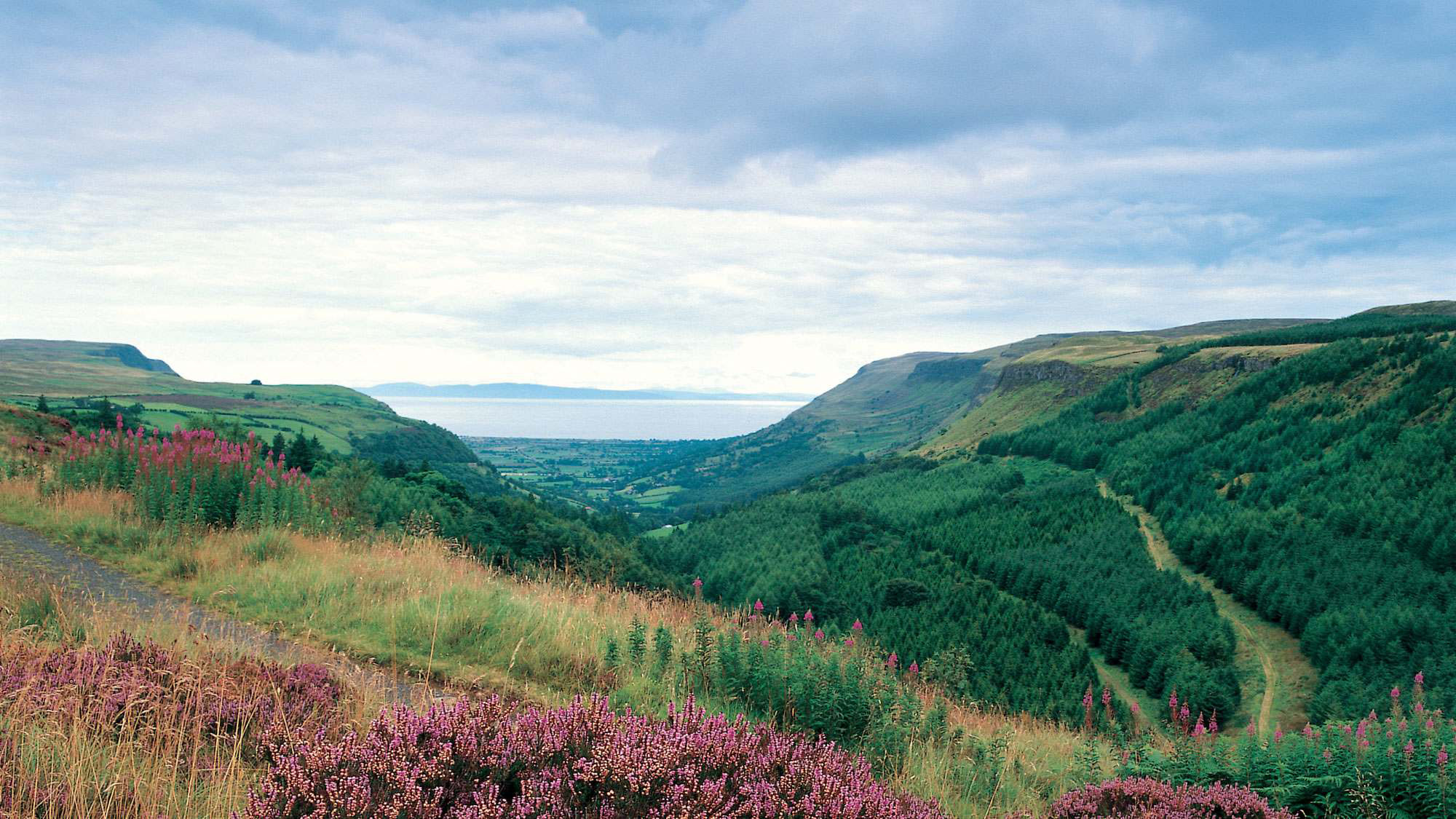 Glenariff Tea House